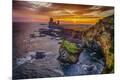 Premium Photographic Print