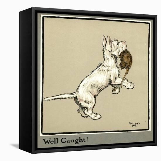 Rags the Puppy Catches a Rat-Cecil Aldin-Framed Premier Image Canvas