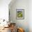 Ragwort and Barn, Bardstown, Kentucky, USA-Adam Jones-Framed Photographic Print displayed on a wall