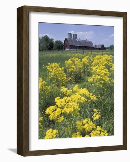 Ragwort and Barn, Bardstown, Kentucky, USA-Adam Jones-Framed Photographic Print