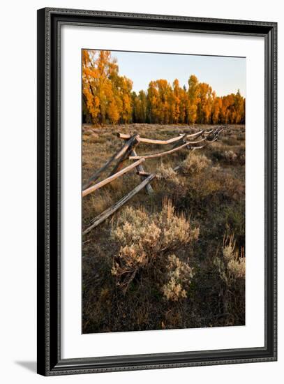 Rail fence across sage brush in Grand Teton National Park.-Larry Ditto-Framed Photographic Print