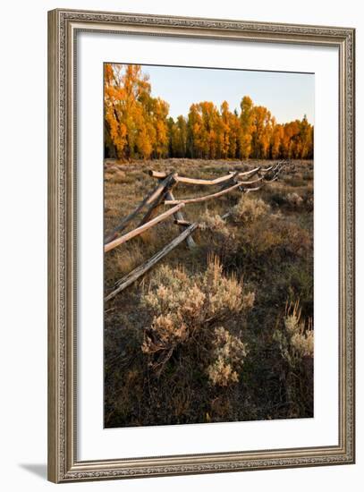 Rail fence across sage brush in Grand Teton National Park.-Larry Ditto-Framed Photographic Print