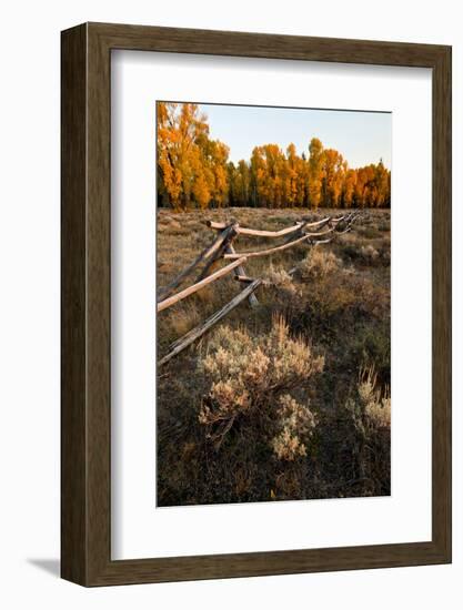 Rail fence across sage brush in Grand Teton National Park.-Larry Ditto-Framed Photographic Print