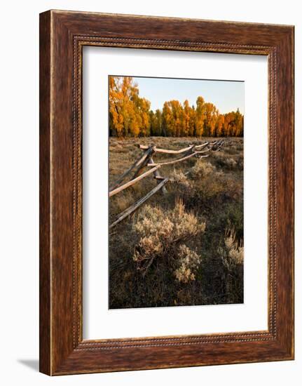 Rail fence across sage brush in Grand Teton National Park.-Larry Ditto-Framed Photographic Print