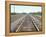 Rail Tracks Near Austin, Texas, USA-David Lomax-Framed Premier Image Canvas