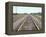 Rail Tracks Near Austin, Texas, USA-David Lomax-Framed Premier Image Canvas