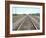 Rail Tracks Near Austin, Texas, USA-David Lomax-Framed Photographic Print