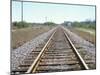 Rail Tracks Near Austin, Texas, USA-David Lomax-Mounted Photographic Print