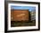 Railroad Box Cars, One with Logo of Louisville and Nashville Railroad and Name "The Old Reliable"-Walker Evans-Framed Photographic Print