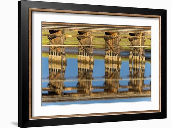 Railroad Bridge Reflection-Lee Peterson-Framed Photo