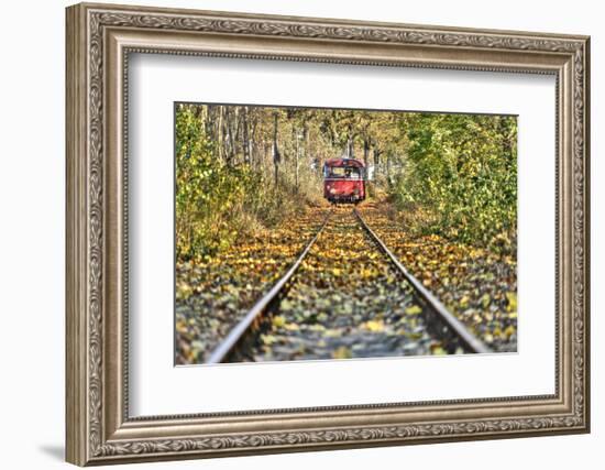 Railroad Line, Motor Coach Recedes into the Distance, Track, Fall Foliage, Trees-Harald Schšn-Framed Photographic Print