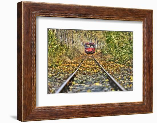 Railroad Line, Motor Coach Recedes into the Distance, Track, Fall Foliage, Trees-Harald Schšn-Framed Photographic Print
