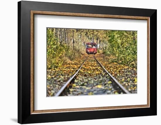 Railroad Line, Motor Coach Recedes into the Distance, Track, Fall Foliage, Trees-Harald Schšn-Framed Photographic Print