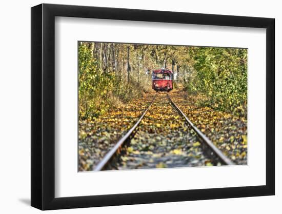 Railroad Line, Motor Coach Recedes into the Distance, Track, Fall Foliage, Trees-Harald Schšn-Framed Photographic Print