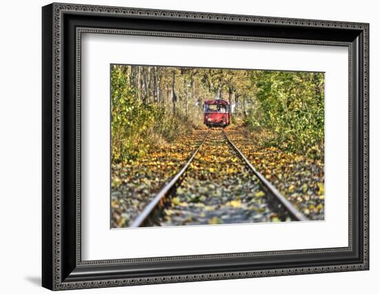 Railroad Line, Motor Coach Recedes into the Distance, Track, Fall Foliage, Trees-Harald Schšn-Framed Photographic Print