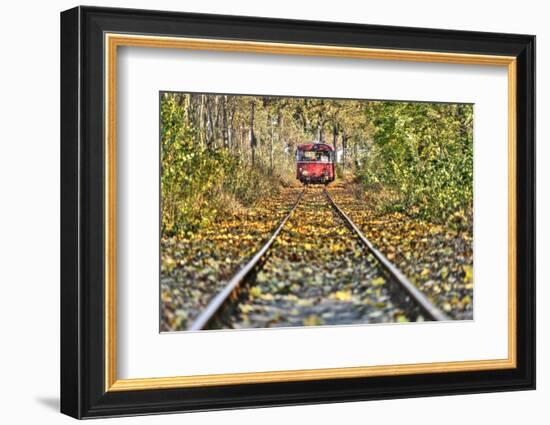 Railroad Line, Motor Coach Recedes into the Distance, Track, Fall Foliage, Trees-Harald Schšn-Framed Photographic Print