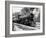 Railroad Locomotive 1443, Circa 1909-Asahel Curtis-Framed Giclee Print