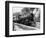 Railroad Locomotive 1443, Circa 1909-Asahel Curtis-Framed Giclee Print