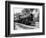 Railroad Locomotive 1443, Circa 1909-Asahel Curtis-Framed Giclee Print