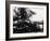 Railroad Steam Engine Billowing Smoke-Dorien Leigh-Framed Photographic Print