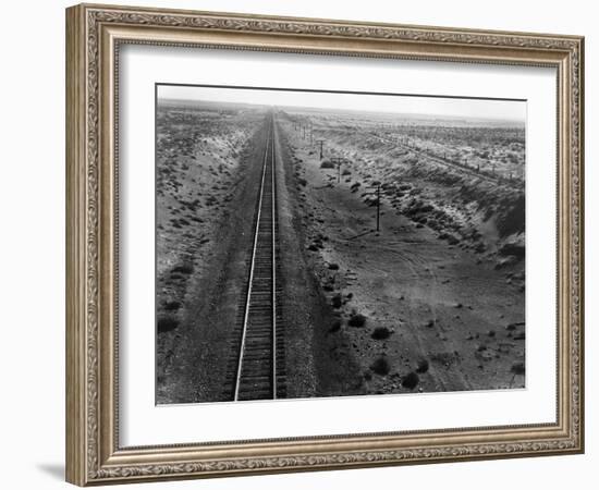 Railroad Tracks, 1939-Dorothea Lange-Framed Giclee Print