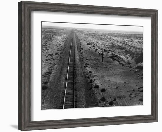 Railroad Tracks, 1939-Dorothea Lange-Framed Giclee Print