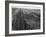 Railroad Tracks, 1939-Dorothea Lange-Framed Giclee Print