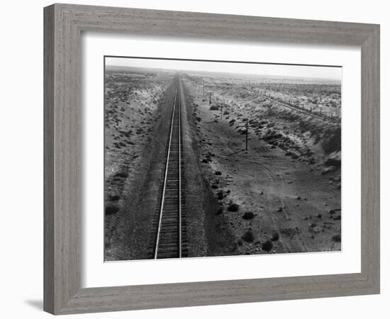 Railroad Tracks, 1939-Dorothea Lange-Framed Giclee Print