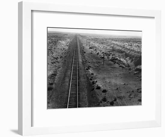 Railroad Tracks, 1939-Dorothea Lange-Framed Giclee Print