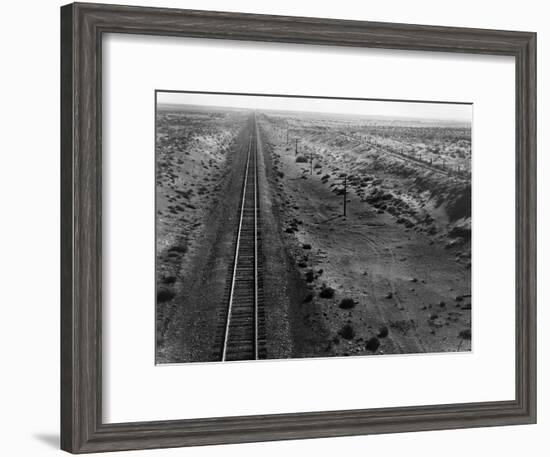 Railroad Tracks, 1939-Dorothea Lange-Framed Giclee Print