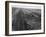 Railroad Tracks, 1939-Dorothea Lange-Framed Giclee Print