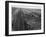 Railroad Tracks, 1939-Dorothea Lange-Framed Giclee Print