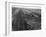 Railroad Tracks, 1939-Dorothea Lange-Framed Giclee Print