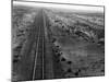 Railroad Tracks, 1939-Dorothea Lange-Mounted Giclee Print
