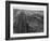 Railroad Tracks, 1939-Dorothea Lange-Framed Giclee Print