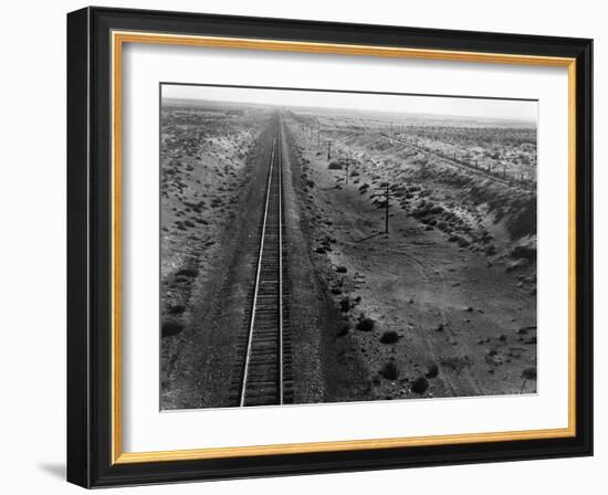 Railroad Tracks, 1939-Dorothea Lange-Framed Giclee Print