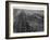 Railroad Tracks, 1939-Dorothea Lange-Framed Giclee Print