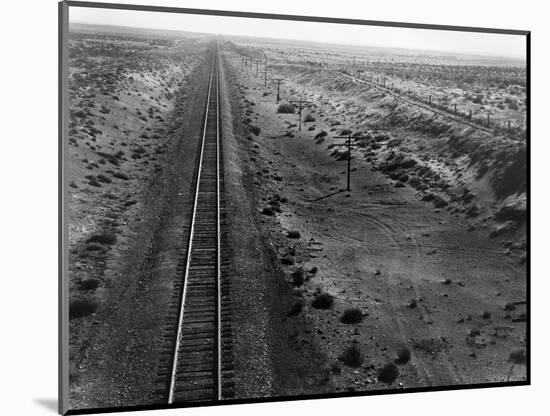 Railroad Tracks, 1939-Dorothea Lange-Mounted Premium Giclee Print