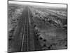 Railroad Tracks, 1939-Dorothea Lange-Mounted Premium Giclee Print