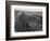 Railroad Tracks, 1939-Dorothea Lange-Framed Giclee Print