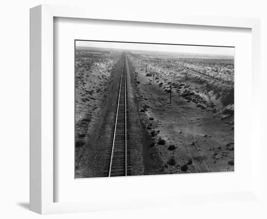 Railroad Tracks, 1939-Dorothea Lange-Framed Giclee Print