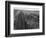 Railroad Tracks, 1939-Dorothea Lange-Framed Giclee Print