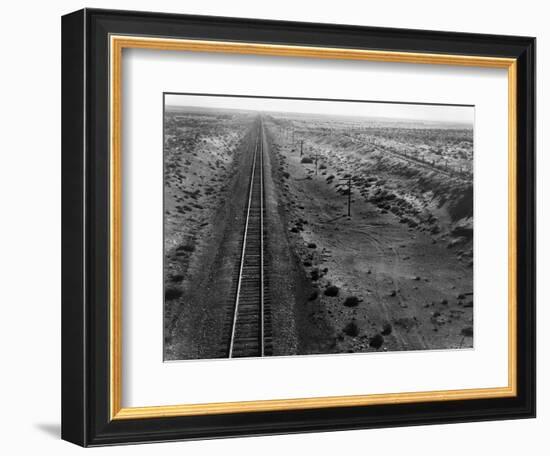 Railroad Tracks, 1939-Dorothea Lange-Framed Giclee Print