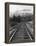 Railroad Tracks, Alaska 85-Monte Nagler-Framed Premier Image Canvas