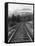 Railroad Tracks, Alaska 85-Monte Nagler-Framed Premier Image Canvas