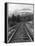 Railroad Tracks, Alaska 85-Monte Nagler-Framed Premier Image Canvas