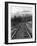 Railroad Tracks, Alaska 85-Monte Nagler-Framed Photographic Print