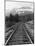 Railroad Tracks, Alaska 85-Monte Nagler-Mounted Photographic Print