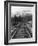 Railroad Tracks, Alaska 85-Monte Nagler-Framed Photographic Print