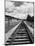 Railroad Tracks Stretching into the Distance-Philip Gendreau-Mounted Photographic Print